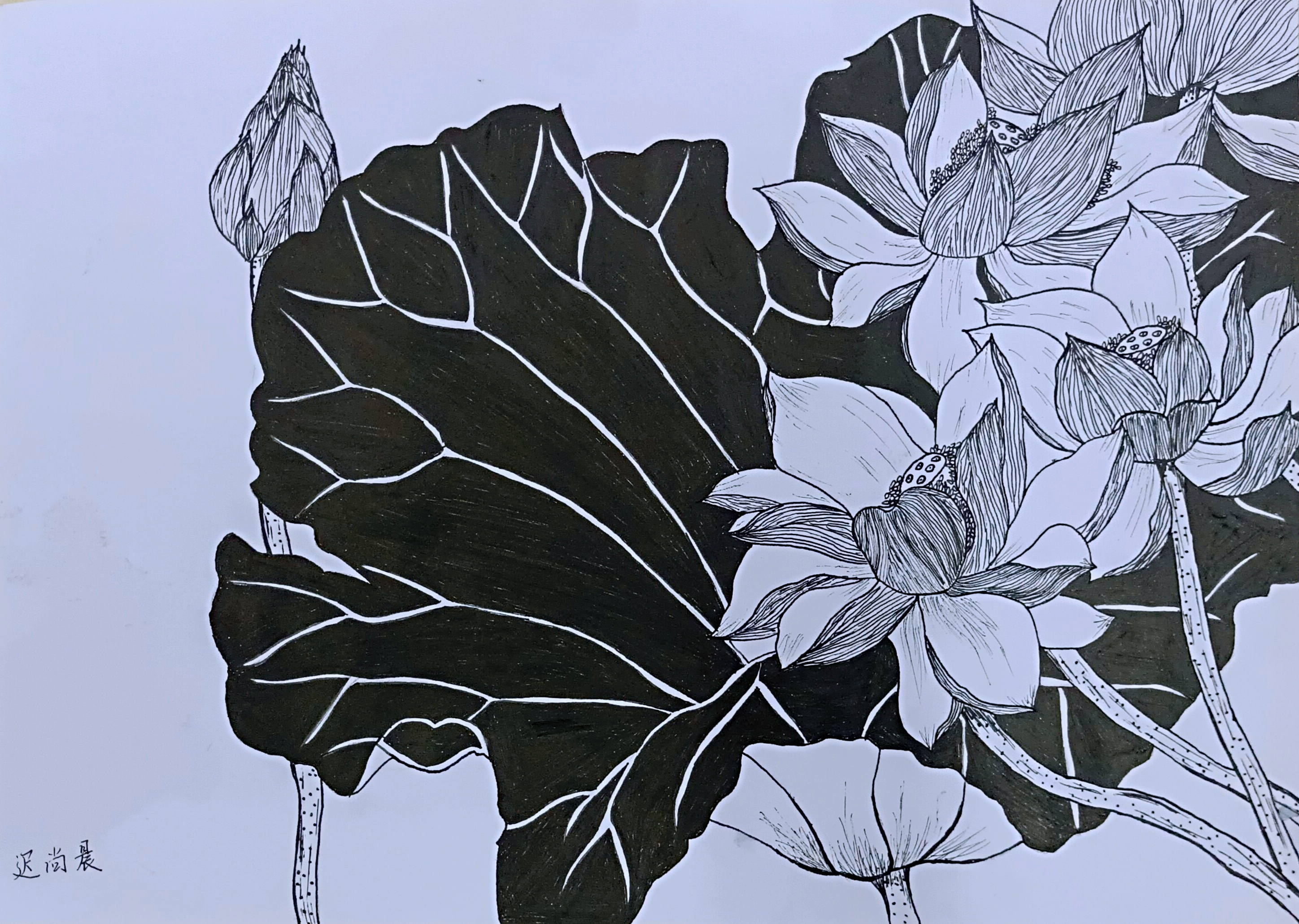 QQ图片20220610134201